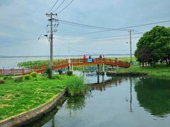 -莲花岛景区