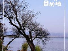 -西昌邛海湿地