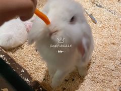-天津zoonly动物主题公园