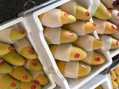 -西郊国际农产品交易中心