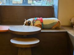 -Bamboo Today Cafe(国创园店)