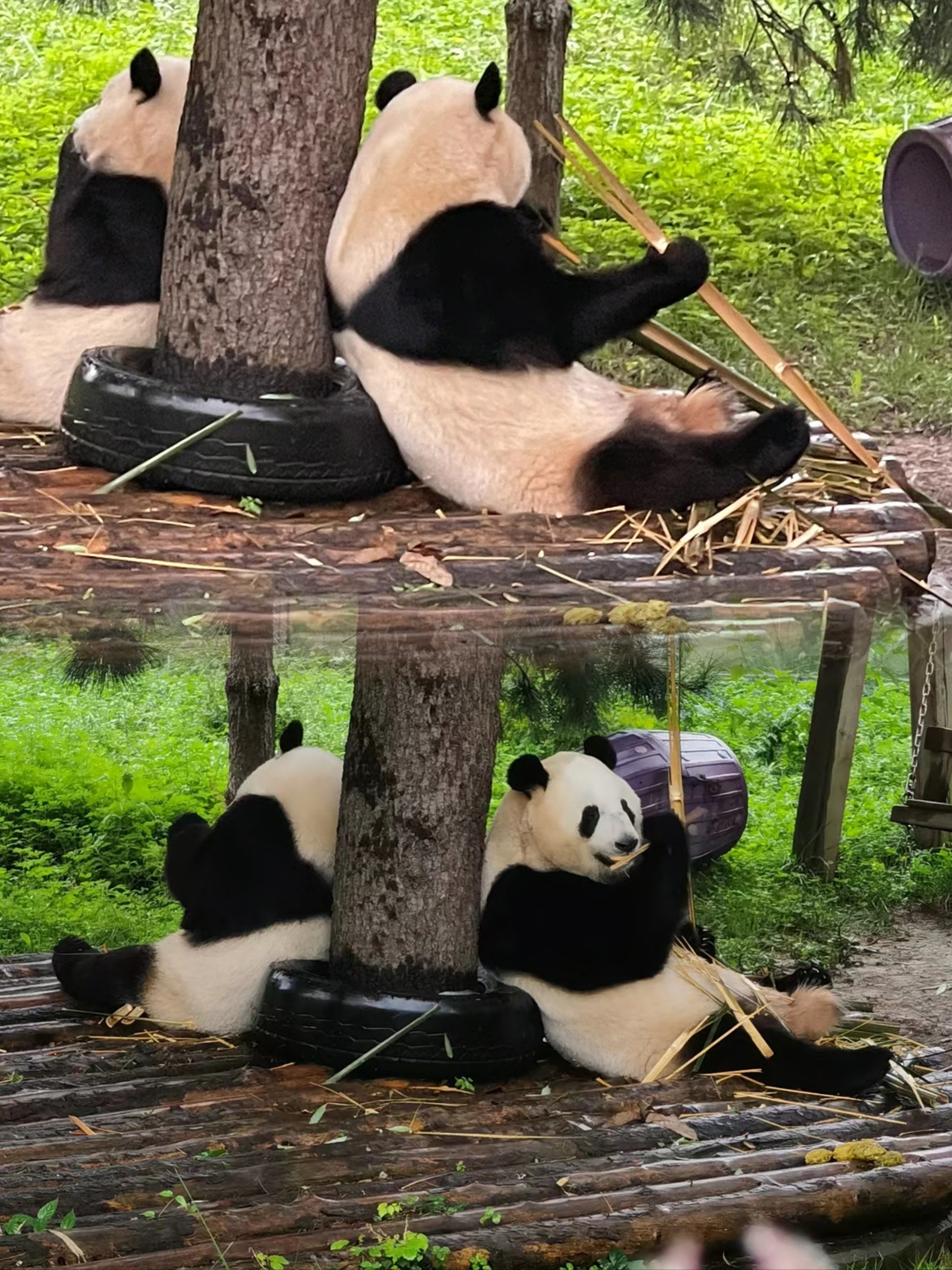 https://qcloud.dpfile.com/pc/CZ6Z3AkbU_-rljwWESgfab8UuxOgFggaaqSwhZN7zuj8fTyCYMbK6mV5xznFfbODY0q73sB2DyQcgmKUxZFQtw.jpg
