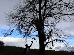 -硗碛藏寨·神木垒景区