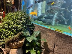 -又见炊烟私房菜(敬亭路店)