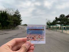 -日照海滨国家森林公园