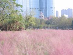-艾溪湖湿地公园