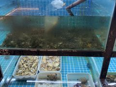 -吉香碳烤生蚝(仙霞路店)