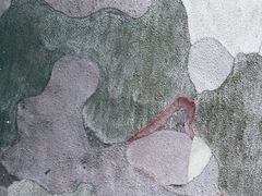 -中国农业大学(西校区)