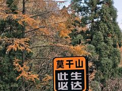-莫干山风景区