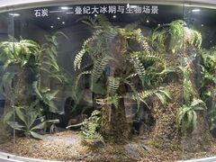 -中国第四纪冰川遗迹陈列馆
