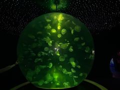 -江和美海洋公园