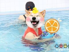 -领晟体育蓝天花园室内游泳馆