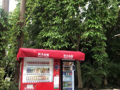 -金花茶公园