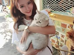 -喵屿·大理花园猫咖