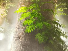 -普陀山雷迪森庄园