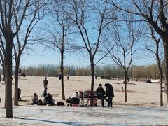 -东郊湿地公园