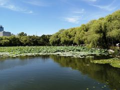 -长春市南湖公园