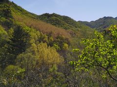 -玉渡山自然风景区