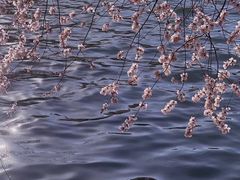 -颐和园