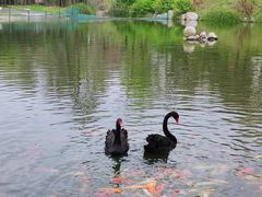 -西安秦岭野生动物园