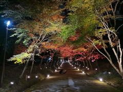 -醍醐寺