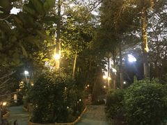 -陶缘一号·四季缘·老字号顺德菜·户外婚礼家宴(西滘店)