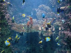 -海合安青岛极地海洋公园