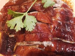 -锦粤宫·精致粤菜(深圳北站店)