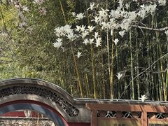 -潭柘寺景区