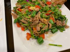 小炒羊肉-燕风楼烤鸭店(建设总店)