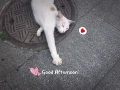 -同济大学-北苑食堂