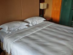-东莞松山湖凯悦酒店
