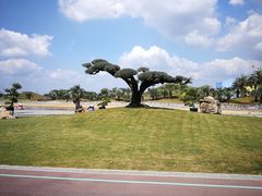 -南通洲际绿博园