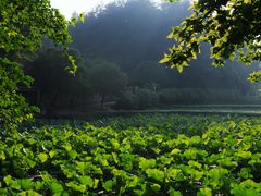 -韶山毛泽东同志故居