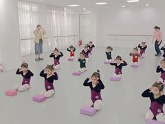 -西安小天鹅艺术团(金花路校区)