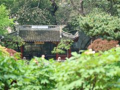 -中山公园