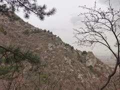 -北京鹫峰国家森林公园