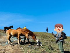 -灵山