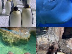 -珠海长隆海洋王国