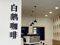 -白鹅咖啡(金城花园店)