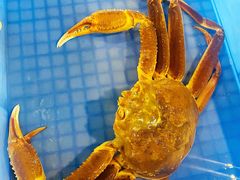-蟹后Crabber(水悦城店)