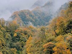 -光雾山旅游景区