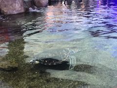 -鸿通城购物中心