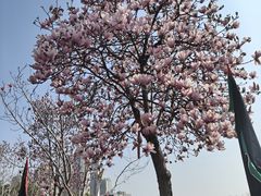 -长春观