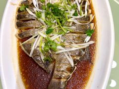 -齐河·老东家·民间菜·地标特色美食