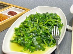 清炒豆苗-上海老站(徐家汇店)