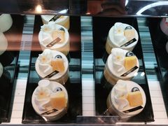-华丰贺氏(福新西路店)