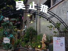 -more than meow吴止猫主题餐厅(承德 中船汇店)