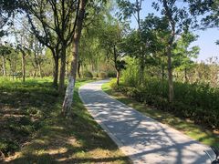 -昆山城市生态森林公园