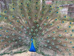 -攀枝花公园
